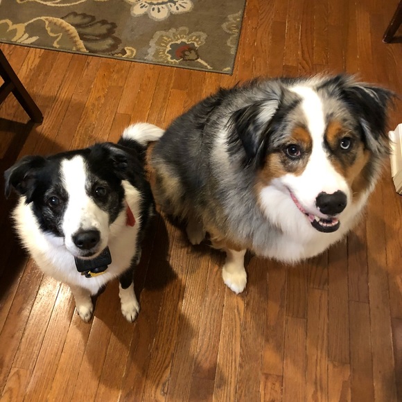 LEOSLUXURYLOOT Live notification 🔔 - Picture 3 of 3